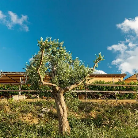 Lantgård Solemar Sicilia - Le Casette Di Calzata Campofelice Di Roccella