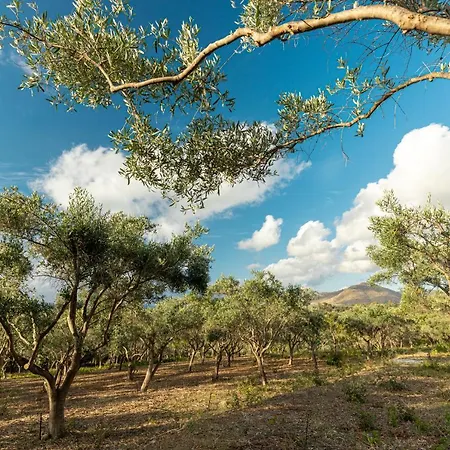 Lantgård Solemar Sicilia - Le Casette Di Calzata *