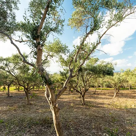 Solemar Sicilia - Le Casette Di Calzata Lantgård